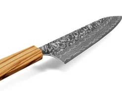ORYOKI Damastmesser Gyuto 210 SG2, 63 Lagen, Olive