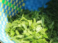 ORYOKI Gensen Tezumi Shincha, Bio, Super-Premium