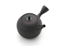 ORYOKI Japanisches Teeservice 6-teilig, Kyusu Tokoname Sendan Maru