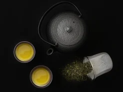 ORYOKI Japanische Teekanne Arare 1,0 L, OIGEN