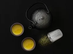 ORYOKI Japanische Teekanne Komon Ume 0,5 L, OIGEN