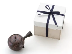 ORYOKI Japanische Teekanne Tokoname Mokakemit Geschenkbox
