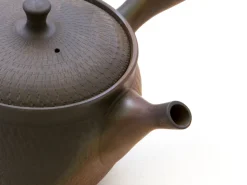 ORYOKI Japanische Teekanne Tokoname Sendan Kaku mit Geschenkbox