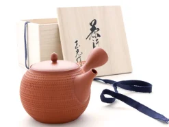 ORYOKI Japanische Teekanne Tokoname Tobikanna Shu mit Geschenkbox