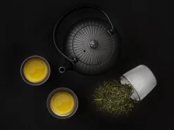 ORYOKI Japanische Teekanne Tsubomigata-Chabatake 0.6 L, OIGEN