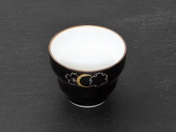 ORYOKI Japanische Teeschale Setsugekka
