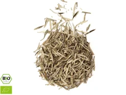 ORYOKI Jasmin Silverneedle BIO