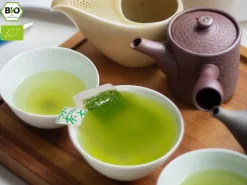 ORYOKI KEIKO Soshun, Kabuse Sencha Bio, Teebeutel