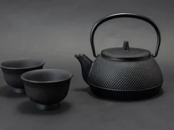 ORYOKI Kombi-Modell Wasserkessel und Teekanne ARARE 0,6 Liter (IH)