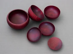 ORYOKI Schalenset rot