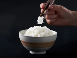 ORYOKI Servierstäbchen YORI-SO Bambus, 2 Längen
