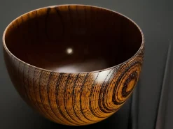 ORYOKI Suppenschale, Reisschale Sensai, Urushi braun