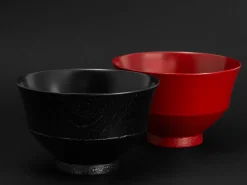 ORYOKI Suppenschale Urushi Keiryo, 240 ml, schwarz