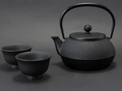 ORYOKI Tetsubin, Wasserkessel Gusseisen ARARE 0,9 l, Iwachu (IH)